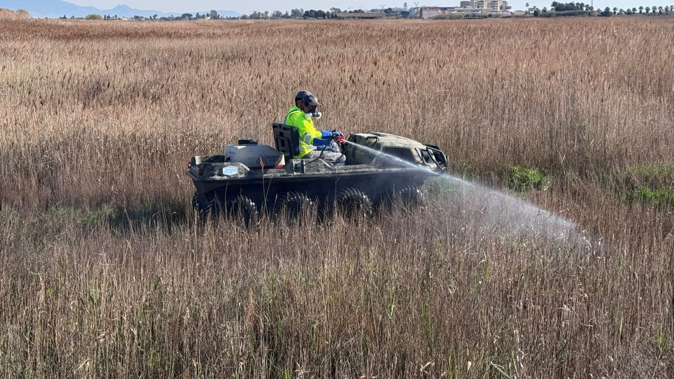La Diputación de Castellón refuerza las labores de prevención contra los mosquitos en la zona del litoral